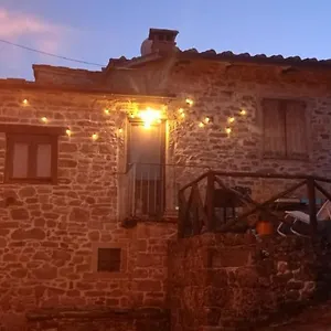 Nest In The Woods - Nido Nel Bosco Casa vacanze